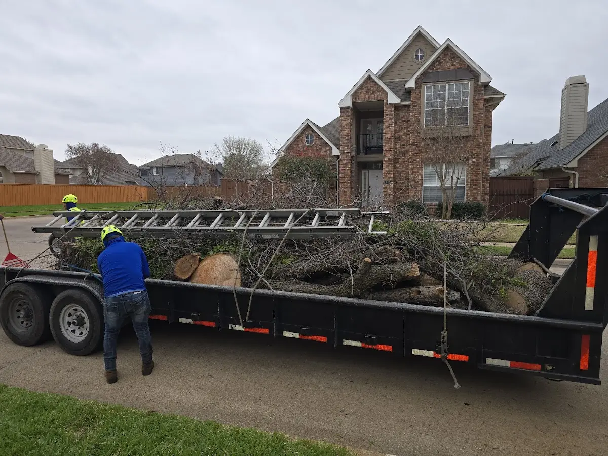 Expert Tree Fertilization with proper safety equipment in Sloan